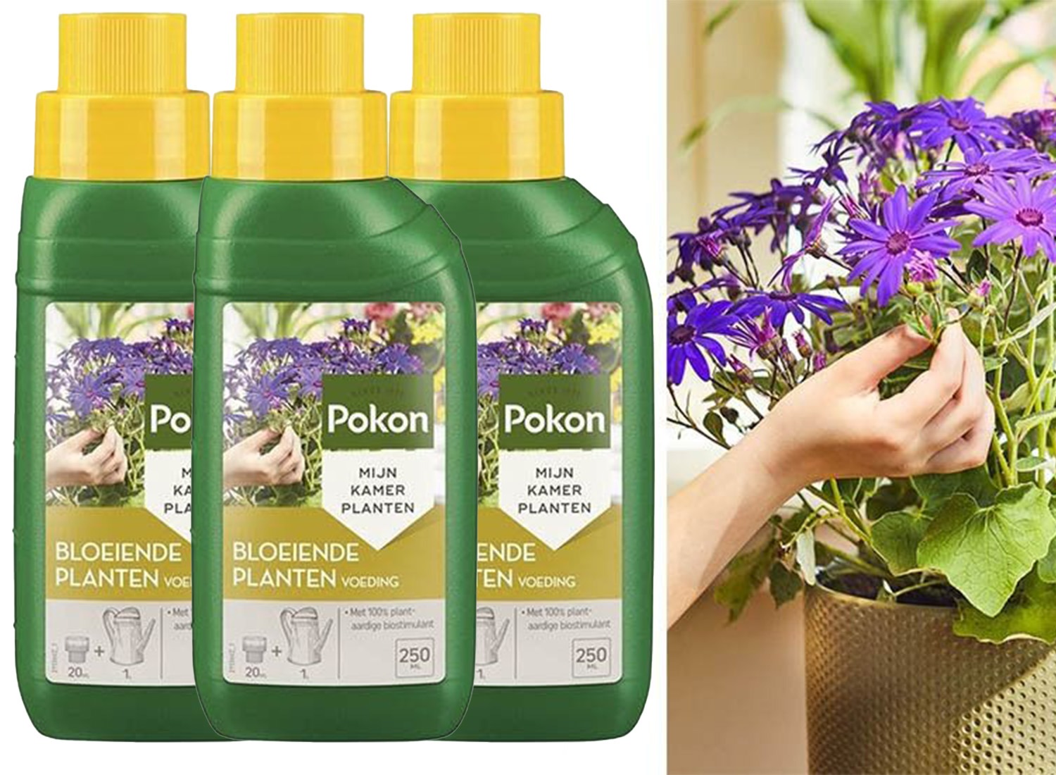 3x Pokon Bloeiende Planten Voeding 250ml