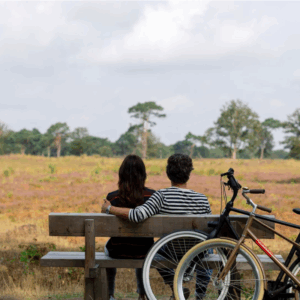 GLOEDNIEUW 4*-boutiquehotel middenin de natuur van Drenthe