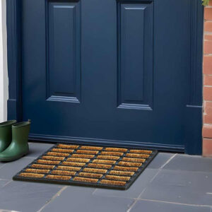 Mat Met Borstels En Rubber