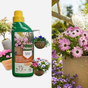 Pokon Terras & Balkonplanten Voeding - 500ml - Plantenvoeding - 10ml per 1L water