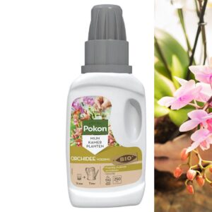 Pokon Orchidee Voeding - 250ml - Plantenvoeding - 10ml per 1L water