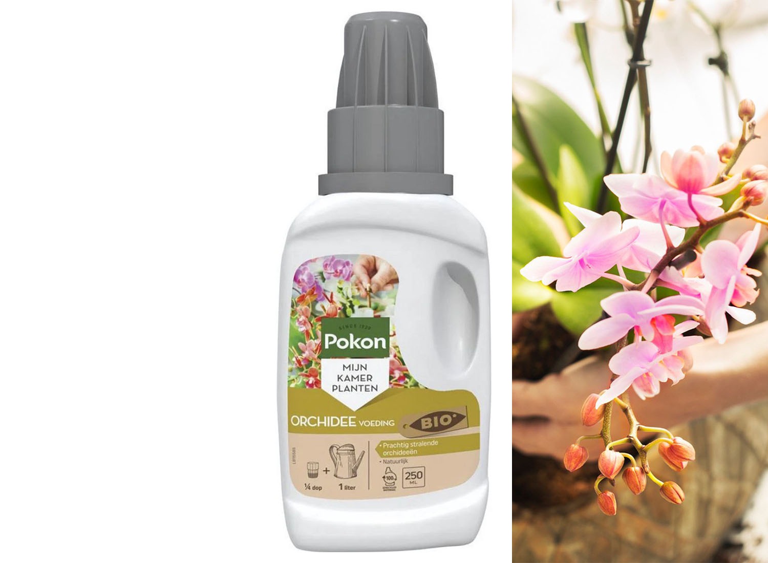 Pokon Orchidee Voeding - 250ml - Plantenvoeding - 10ml per 1L water