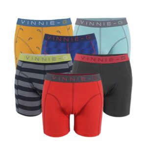Vinnie-G Boxershort Verrassingspakket 6-pack -L
