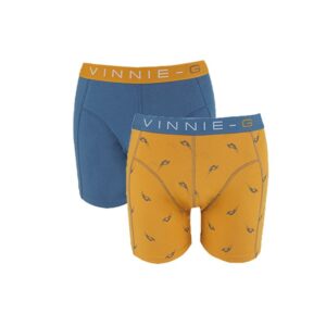 Vinnie-G Boys boxershorts Wakeboard Blue - Print 2-Pack-140/146
