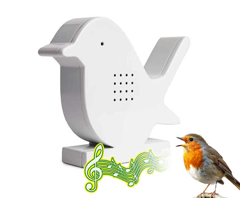 Vogeldoosje Met Sensor Vogel- Vrolijke Vogelgeluiden Wanneer Je Langsloopt!