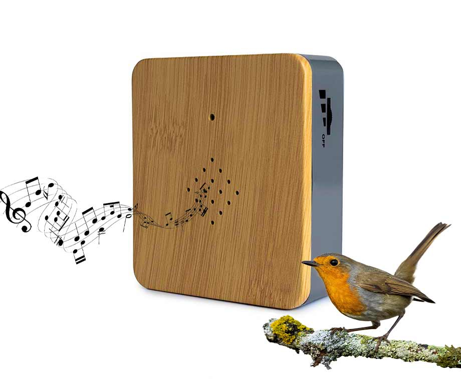 Vogeldoosje Met Sensor Houtlook