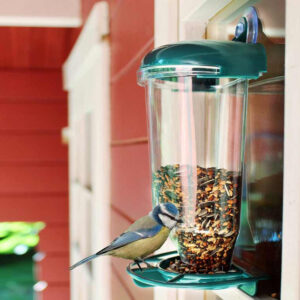 Vogelvoederstation Met Zuignap