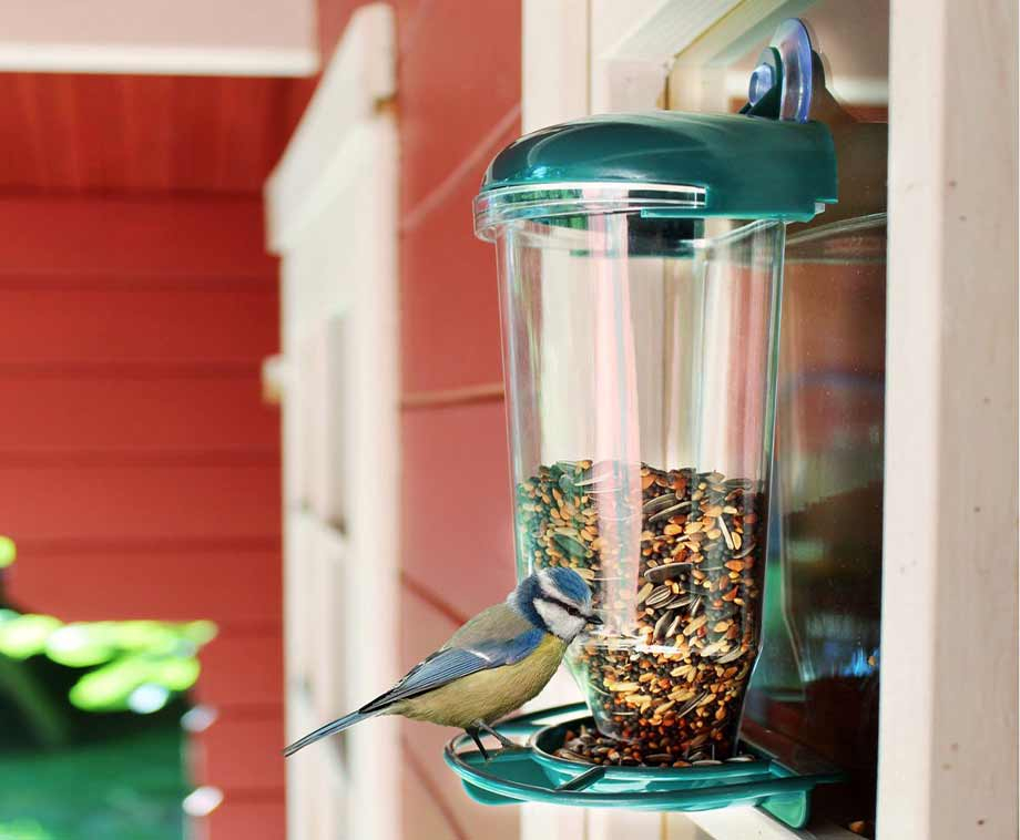 Vogelvoederstation Met Zuignap