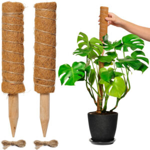 FEDEC Mosstok voor planten - Plantenstok - 30cm tot 50cm - 2 stuks