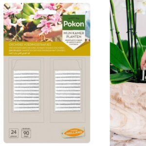 Pokon Orchidee Voedingsstaafjes - 24st - Plantenvoeding - Meststofstaafjes