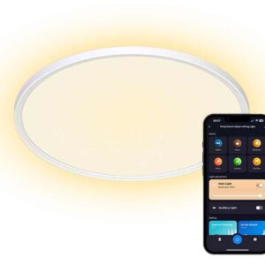 Slimme Plafondlamp Warm Wit En RGB