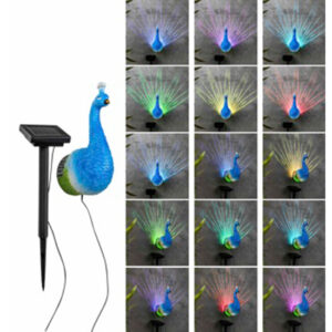 HI LED Pauw - RGB tuin wandlamp - 12 x 8,5 x 20 cm