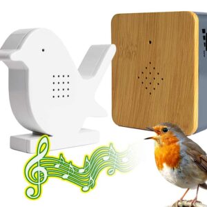 Vogeldoosje Met Sensor